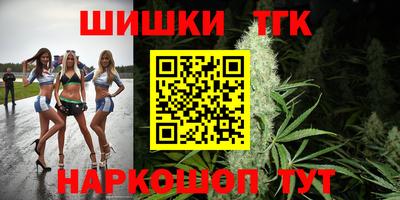 стафф Шелехов