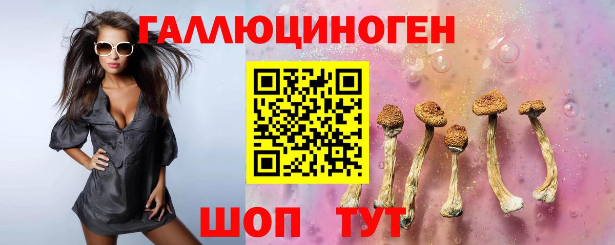 Галлюциногенные грибы ЛСД  Вход с VPN  Пенза  Псилоцибиновые грибы Psilocybine cubensis 